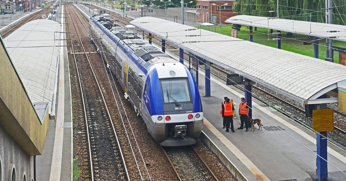 Le train, transport écolo d'avenir ? Terra Terre, Public Sénat