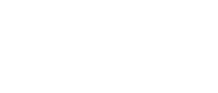 FERRO233 LOGO BLANC